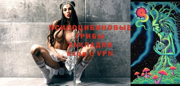 твердый Володарск