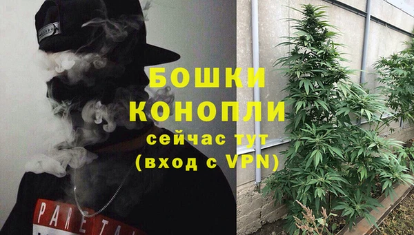 гидропоника Горнозаводск